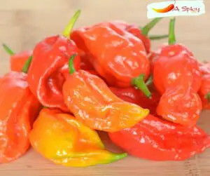 How Many Scoville Units Does a Ghost Pepper Have?