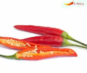 How to Plant Cayenne Pepper Seed