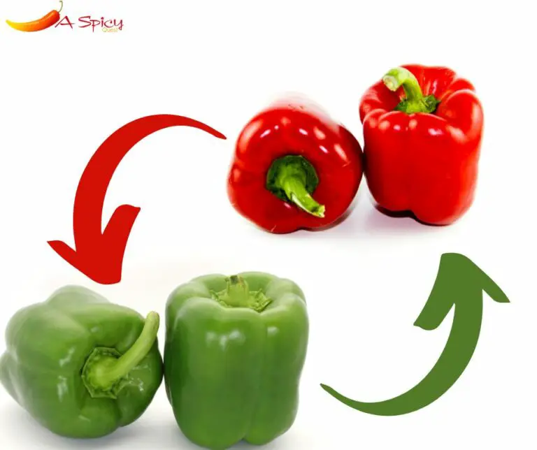 Is Bell Pepper And Capsicum The Same?