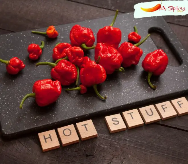 What Is The Hottest Peper In The World Trinidad Moruga Scorpion?
