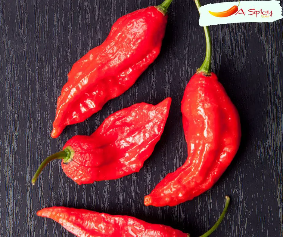 Can A Ghost Pepper Burn A Hole In Your Esophagus Spicy Quest