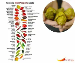 What Is the Hottest Pepper on the Scoville Scale?