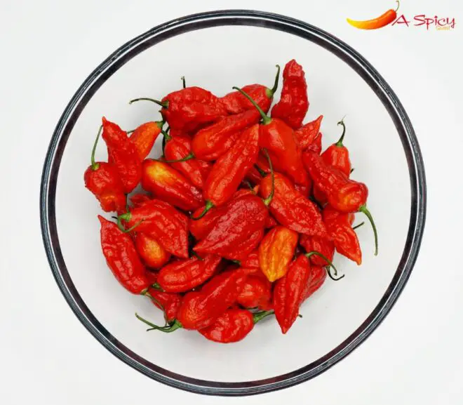 Ghost Pepper On The Scoville Scale, What’s Like, Origin and Uses?