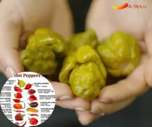 What Is The Hottest Pepper On The Scoville Scale