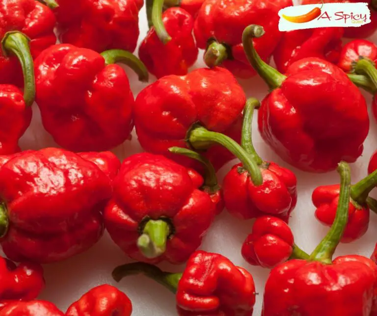 Are Carolina Reapers Hotter Than Ghost Peppers?