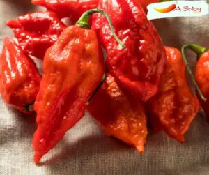 Ghost Pepper On The Scoville Scale