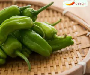 Do Shishito Peppers Have Capsicum?