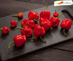 How Hot Is The Trinidad Moruga Scorpion Pepper?