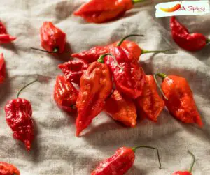 Ghost Pepper On The Scoville Scale