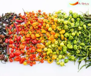 Hottest Peppers On The Scoville Scale