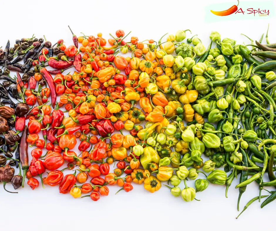 What Are The Hottest Peppers On The Scoville Scale? Spicy Quest