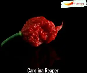Carolina Reaper