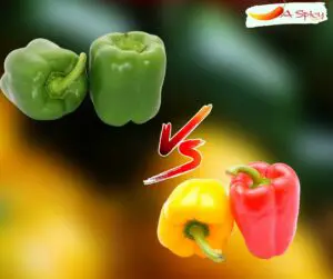What Is The Difference Between Capsicum And Peppers?