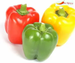 What Is The Difference Between Capsicum And Peppers?