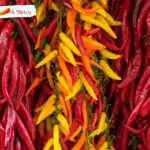 What Is The Hottest Pepper Infinity Chilli?
