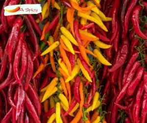 What Is The Hottest Pepper Infinity Chilli?